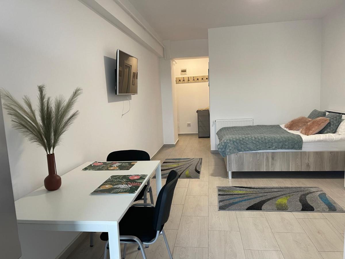 Studio Apartment Palas Mall ยาช ภายนอก รูปภาพ