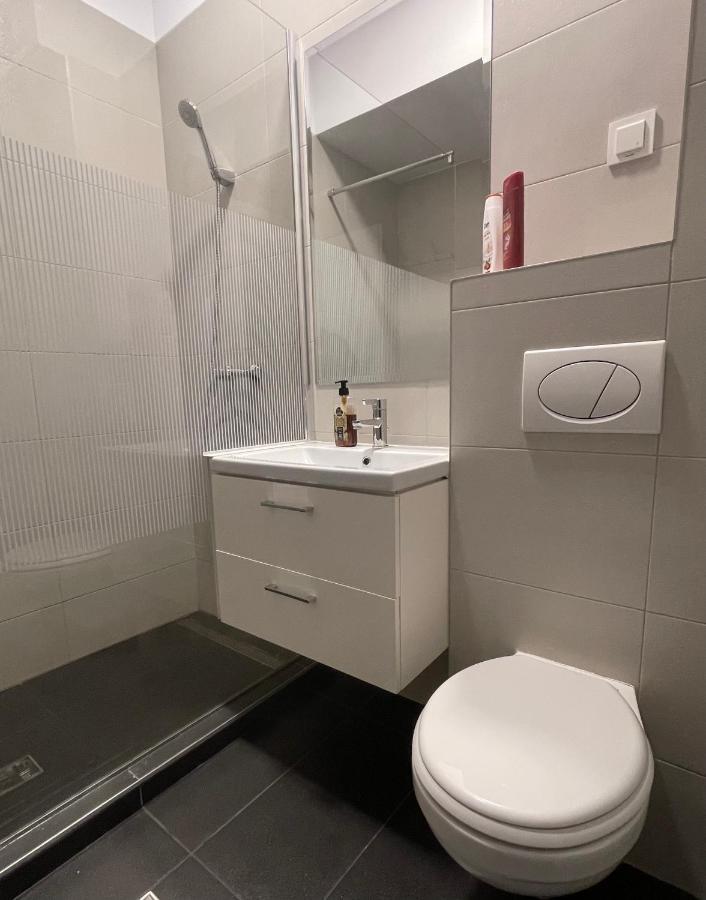 Studio Apartment Palas Mall ยาช ภายนอก รูปภาพ
