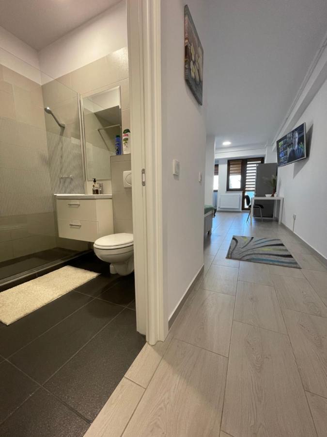 Studio Apartment Palas Mall ยาช ภายนอก รูปภาพ