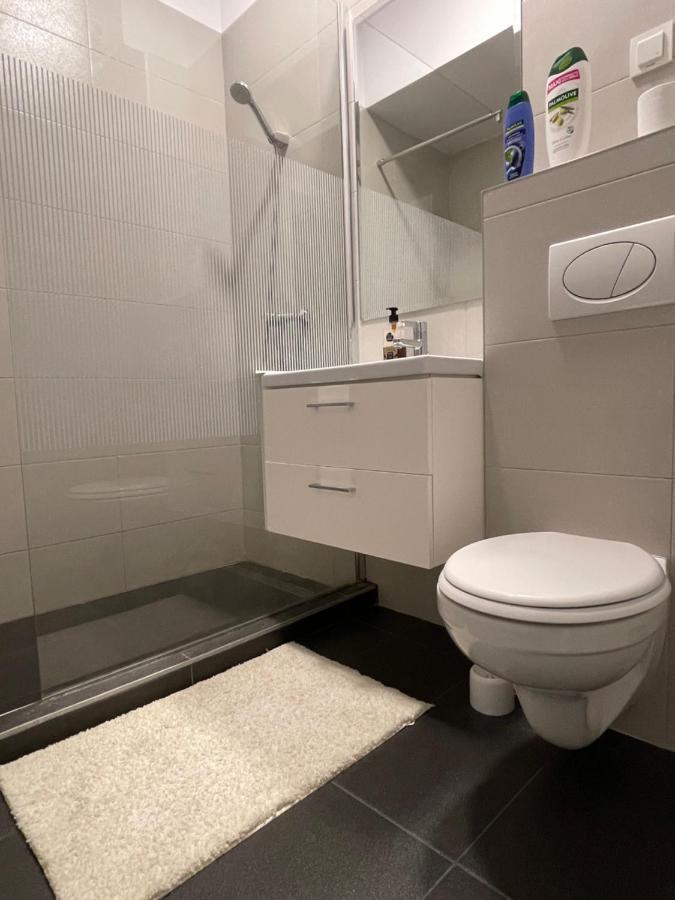Studio Apartment Palas Mall ยาช ภายนอก รูปภาพ